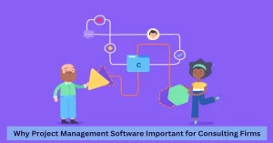 project management software