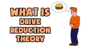 drive reduction theory