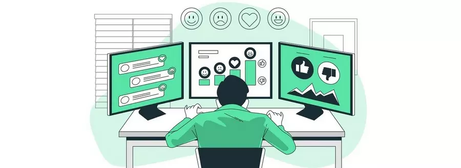 Challenges and Limitations of Using AI for Sentiment Analysis