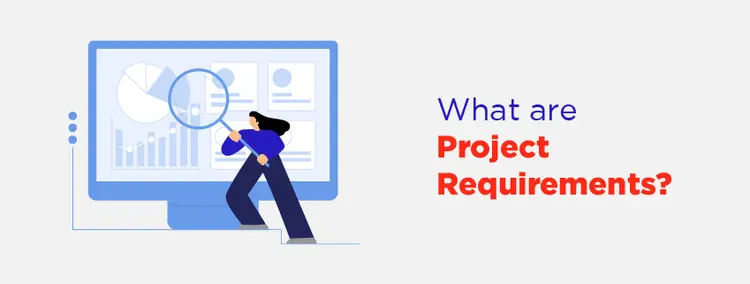 What are Project Requirements