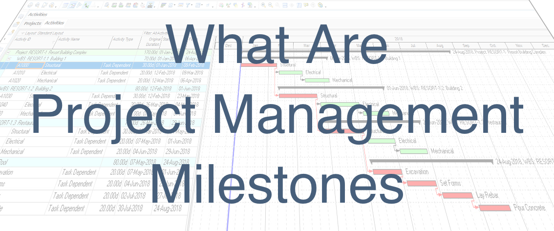 What is a Project Milestone